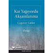 Kar Yayordu Akamlarma Palme Yaynevi