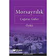 Morsayrlk Palme Yaynevi