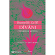 Rumelili Za`ifi Divan  Berikan Yaynlar