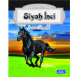Siyah nci Parlt Yaynlar
