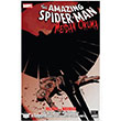 The Amazing Spider-Man Say 16  Meydan Okuma Marmara izgi Yaynlar