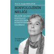Sosyolojinin Nelii Nilgn elebi ile Sosyoloji Szcnn Soyktne Uzanmak An Yaynclk