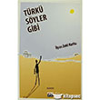 Trk Syler Gibi Su Yaynevi
