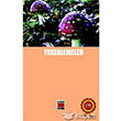 Tekerlemeler Elips Kitap