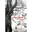 Yal Kavak Evrensel Basm Yayn
