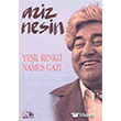 Yeil Renkli Namus Gaz Nesin Yaynlar