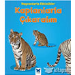 Hayvanlarla Etkinlikler Kaplanlarla karalm Mavi Kelebek Yaynlar