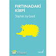 Frtnadaki Kirpi Versus Yaynlar