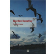 Buzdan Kanatlar Alan Yaynclk