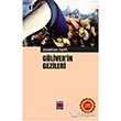 Gliverin Gezileri Elips Kitap