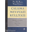 alma Mevzuat Klliyat Nobel Yaynlar
