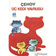  Kedi Yavrusu Oda Yaynlar