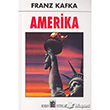 Amerika Oda Yaynlar