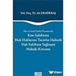 Eser Sahibinin Mali Haklarna Tecavz Halinde Hak Sahibine Salanan Hukuki Koruma On ki Levha Yaynlar