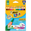 Bic Evolution gen Jumbo Kuru Boya Kalemi 12`li Kutu 8297356