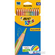 Bic Tropicolors Kuru Boya Kalemi 12`li Kutu 8325669