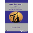 Enerji Hukuku Cilt: 2 Ekin Basm Yayn