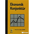 Ekonomik Konjonktr Ekin Basm Yayn