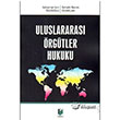 Uluslararas rgtler Hukuku Adalet Yaynevi