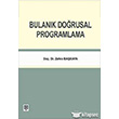 Bulank Dorusal Programlama Ekin Basm Yayn