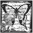 5815V Home Design 25x25 cm Transfer Artebella (Ak Zeminde Uygulanr.)