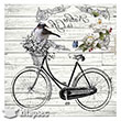 5819V Home Design 25x25 cm Transfer Artebella (Ak Zeminde Uygulanr.)