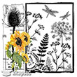 5831V Home Design 25x25 cm Transfer Artebella (Ak Zeminde Uygulanr.)
