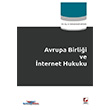 Avrupa Birlii ve nternet Hukuku Sekin Yaynevi