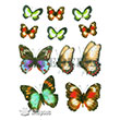 1238V Kk Kolay Transfer 17x24 cm  Transfer Artebella (Ak Zeminde Uygulanr.)