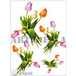 1272V Kk Kolay Transfer 17x24 cm Transfer Artebella (Ak Zeminde Uygulanr.)