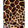 1273V Kk Kolay Transfer 17x24 cm Transfer Artebella (Ak Zeminde Uygulanr.)