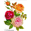 1286V Kk Kolay Transfer 17x24 cm Transfer Artebella (Ak Zeminde Uygulanr.)