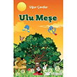 Ulu Mee Beyaz Panda Yaynlar