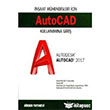Autocad Kullanmna Giri Birsen Yaynevi