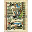 1370V Byk Kolay Transfer 23x34 cm Artebella (Ak Zeminde Uygulanr)