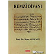 Remzi Divan Birleik Yaynevi