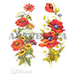 1327V Byk Kolay Transfer 23x34 cm Artebella (Ak Zeminde Uygulanr)