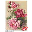 1425V Byk Kolay Transfer 23x34 cm Artebella (Ak Zeminde Uygulanr)