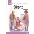 Sürpriz Yaz Yayınları