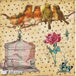 6049V MixArt Kolay Transfer 25x25 cm Artebella (Ak Zeminde Uygulanr)