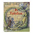 Pi Ejderhas Doruk Yaynlar