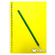 Sar Defter Kurun Kalem (zel retim)