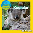 Koalalar National Geographic Kids