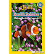 Okul ncesi Renkli Balklar National Geographic Kids