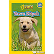  Okul ncesi Yavru Kpek National Geographic Kids