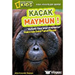 Kaak Maymun National Geographic Kids