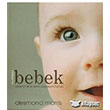 Muhteem Bebek Domingo Yaynevi