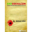Ekososyalizm Michael Lwy Epos Yaynlar