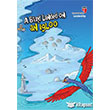 A Bird Landed On An Igloo Leadership EDAM Eitim Danmanl
