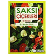 Saks iekleri El Kitab Ezgi Kitabevi